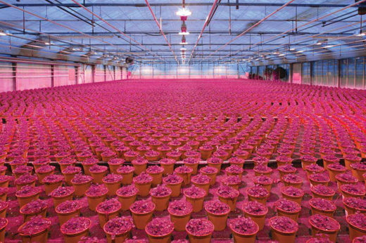 Մ?w��)��W˾��LED��������ɫ���D(zhu��n)�Q���g(sh��)