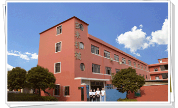 多米機(jī)械:改變世界新動力，革新行業(yè)新格局